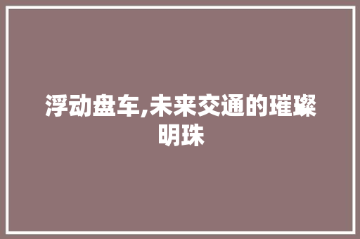 浮动盘车,未来交通的璀璨明珠