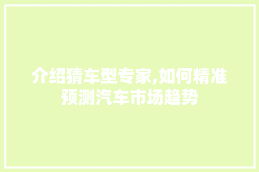 介绍猜车型专家,如何精准预测汽车市场趋势