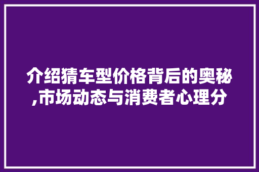 介绍猜车型价格背后的奥秘,市场动态与消费者心理分析
