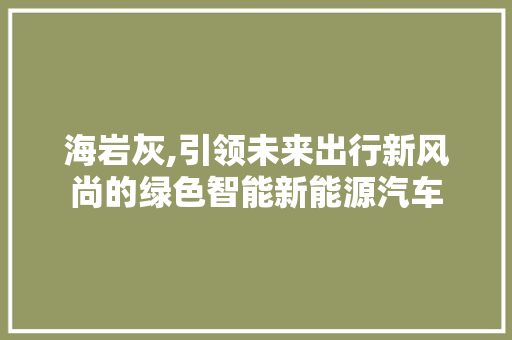 海岩灰,引领未来出行新风尚的绿色智能新能源汽车
