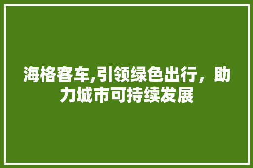 海格客车,引领绿色出行，助力城市可持续发展 新能源汽车