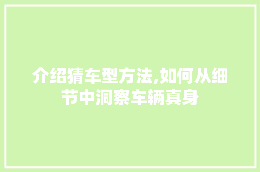 介绍猜车型方法,如何从细节中洞察车辆真身