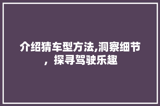 介绍猜车型方法,洞察细节，探寻驾驶乐趣