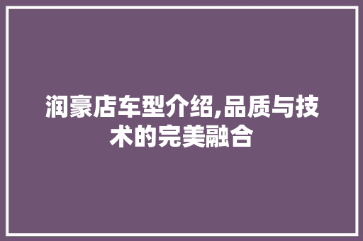 润豪店车型介绍,品质与技术的完美融合
