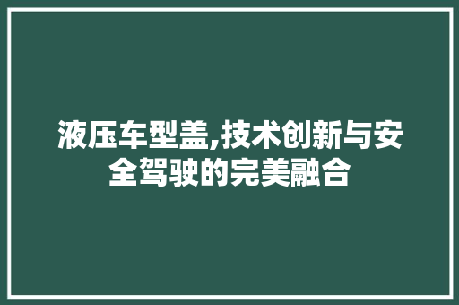 液压车型盖,技术创新与安全驾驶的完美融合