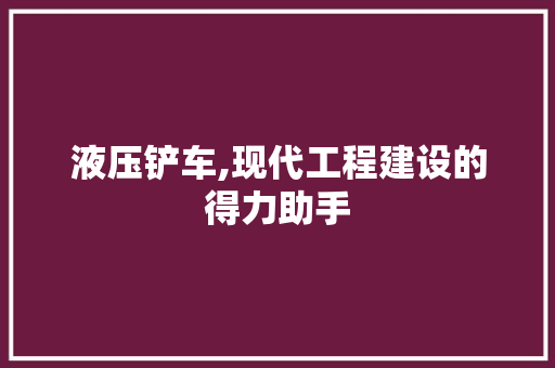 液压铲车,现代工程建设的得力助手