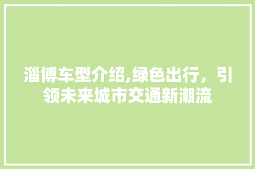 淄博车型介绍,绿色出行，引领未来城市交通新潮流 汽车配件