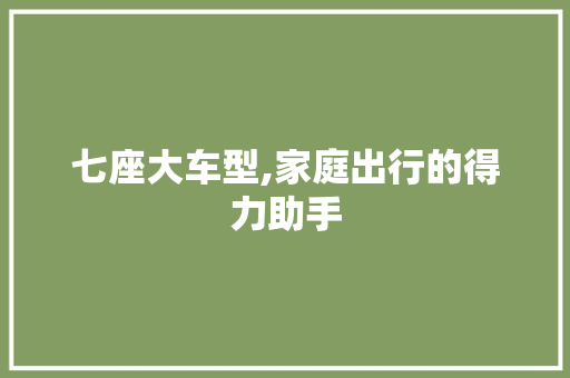 七座大车型,家庭出行的得力助手