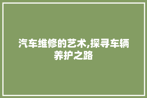 汽车维修的艺术,探寻车辆养护之路