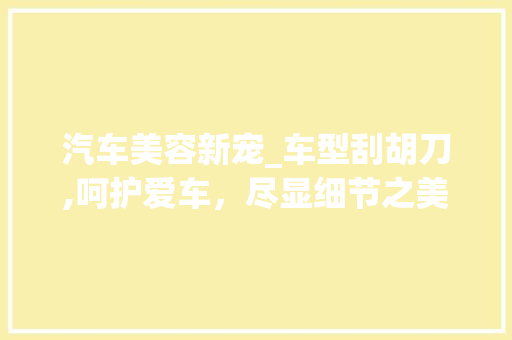汽车美容新宠_车型刮胡刀,呵护爱车，尽显细节之美