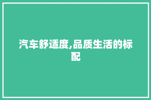 汽车舒适度,品质生活的标配