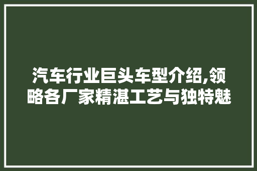 汽车行业巨头车型介绍,领略各厂家精湛工艺与独特魅力