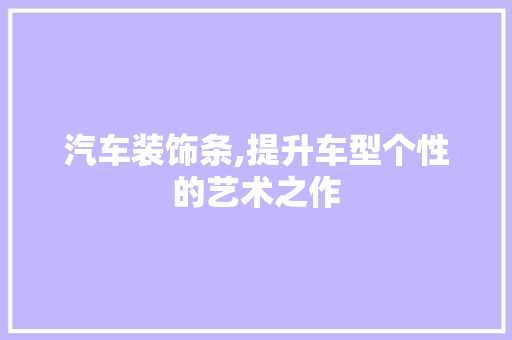 汽车装饰条,提升车型个性的艺术之作