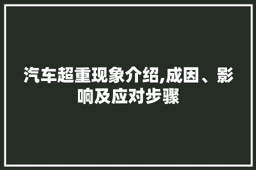 汽车超重现象介绍,成因、影响及应对步骤