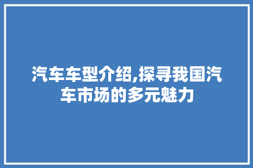 汽车车型介绍,探寻我国汽车市场的多元魅力