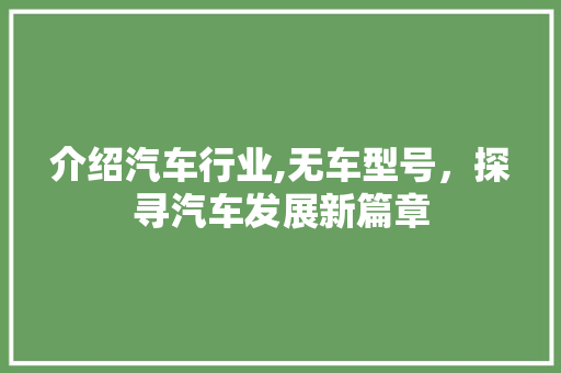 介绍汽车行业,无车型号，探寻汽车发展新篇章