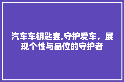 汽车车钥匙套,守护爱车，展现个性与品位的守护者