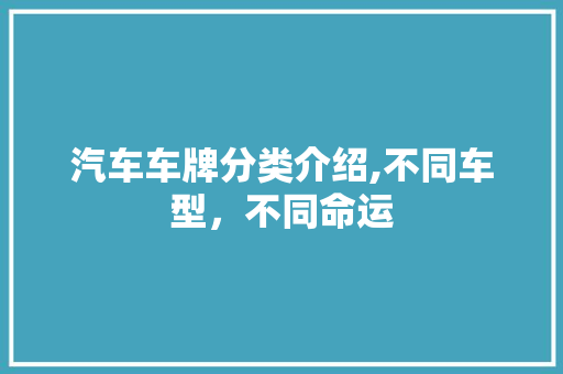 汽车车牌分类介绍,不同车型，不同命运