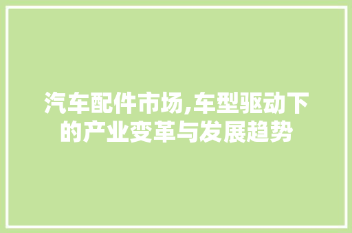 汽车配件市场,车型驱动下的产业变革与发展趋势 蓄电池配件