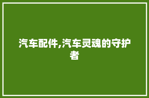 汽车配件,汽车灵魂的守护者