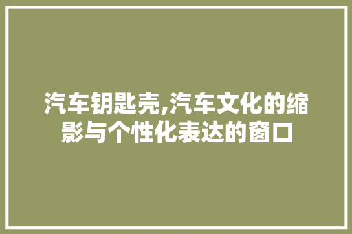 汽车钥匙壳,汽车文化的缩影与个性化表达的窗口