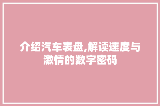 介绍汽车表盘,解读速度与激情的数字密码