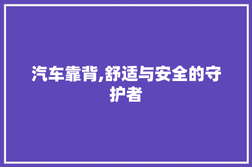 汽车靠背,舒适与安全的守护者