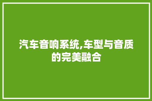 汽车音响系统,车型与音质的完美融合