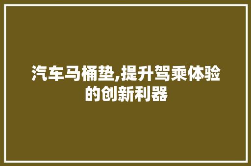 汽车马桶垫,提升驾乘体验的创新利器