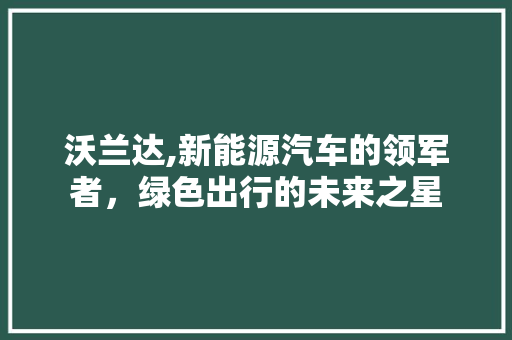 沃兰达,新能源汽车的领军者，绿色出行的未来之星