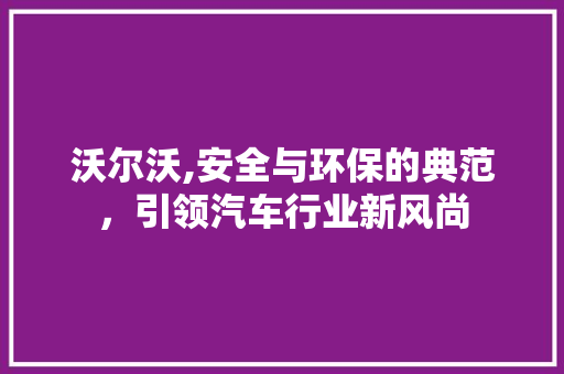 沃尔沃,安全与环保的典范，引领汽车行业新风尚