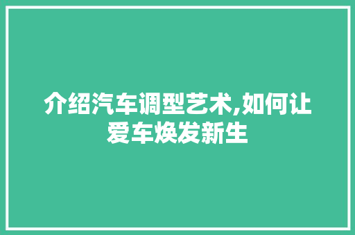 介绍汽车调型艺术,如何让爱车焕发新生