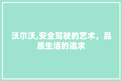 沃尔沃,安全驾驶的艺术，品质生活的追求