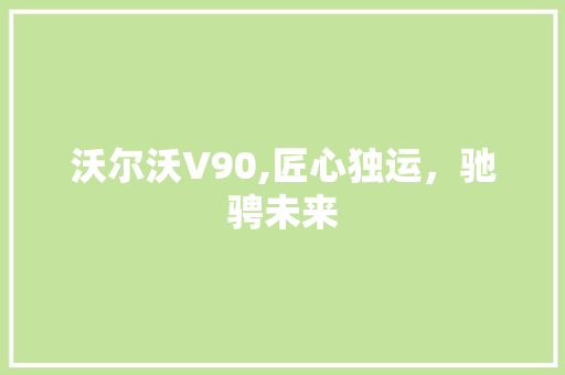 沃尔沃V90,匠心独运，驰骋未来 新能源汽车