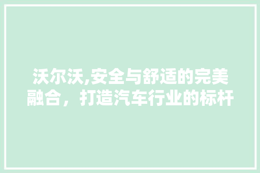 沃尔沃,安全与舒适的完美融合，打造汽车行业的标杆