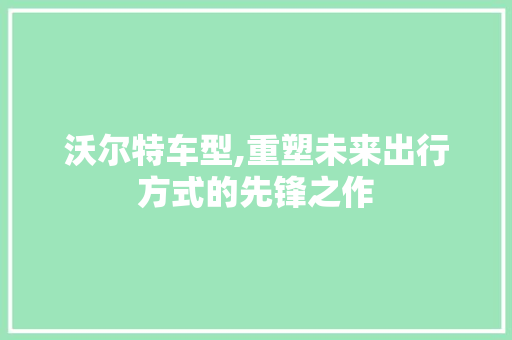 沃尔特车型,重塑未来出行方式的先锋之作 蓄电池配件