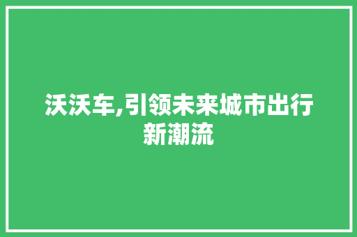 沃沃车,引领未来城市出行新潮流