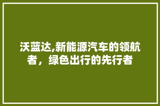 沃蓝达,新能源汽车的领航者，绿色出行的先行者