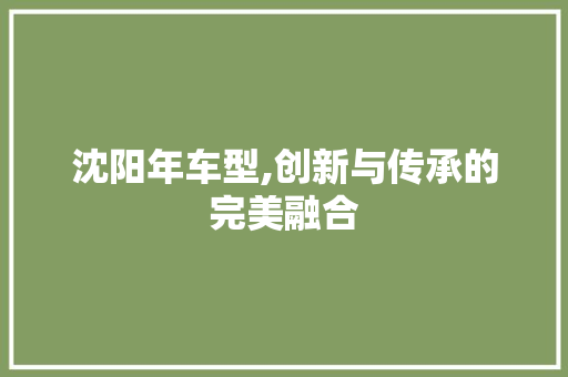 沈阳年车型,创新与传承的完美融合