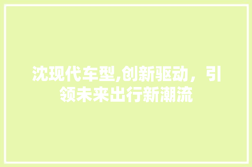 沈现代车型,创新驱动，引领未来出行新潮流