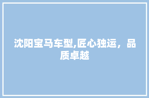 沈阳宝马车型,匠心独运，品质卓越