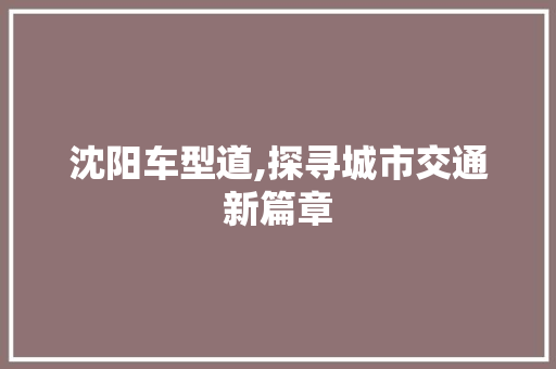 沈阳车型道,探寻城市交通新篇章