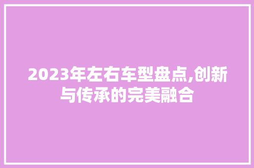 2023年左右车型盘点,创新与传承的完美融合
