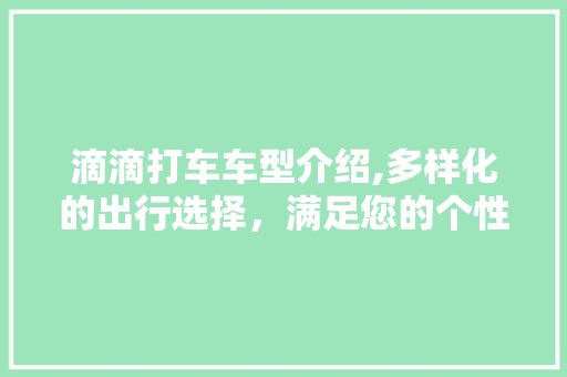 滴滴打车车型介绍,多样化的出行选择，满足您的个性化需求