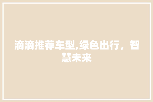 滴滴推荐车型,绿色出行，智慧未来