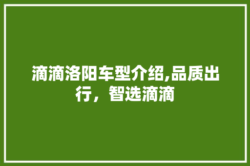 滴滴洛阳车型介绍,品质出行，智选滴滴