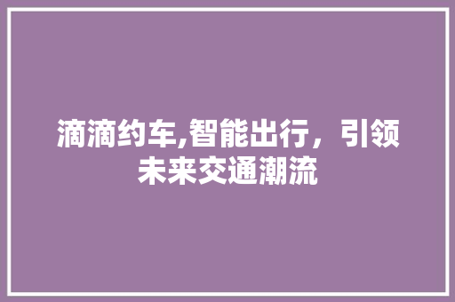 滴滴约车,智能出行，引领未来交通潮流