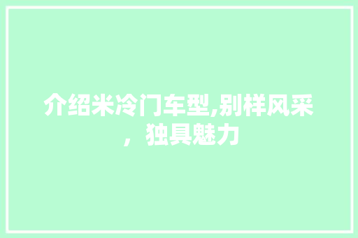 介绍米冷门车型,别样风采，独具魅力