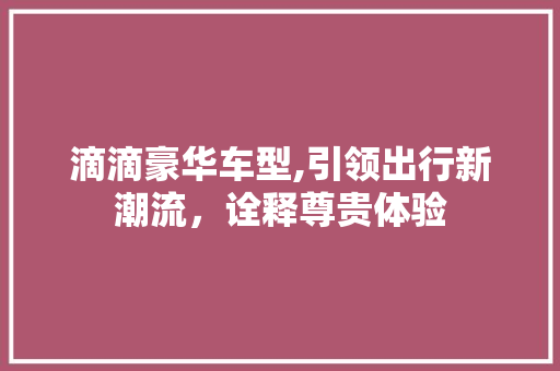 滴滴豪华车型,引领出行新潮流，诠释尊贵体验