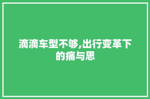 滴滴车型不够,出行变革下的痛与思